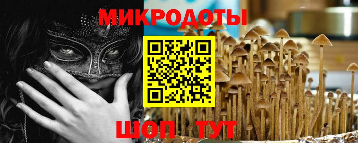 Тавда  Галлюциногенные грибы мицелий  Вход с VPN  Галлюциногенные грибы прущие грибы 